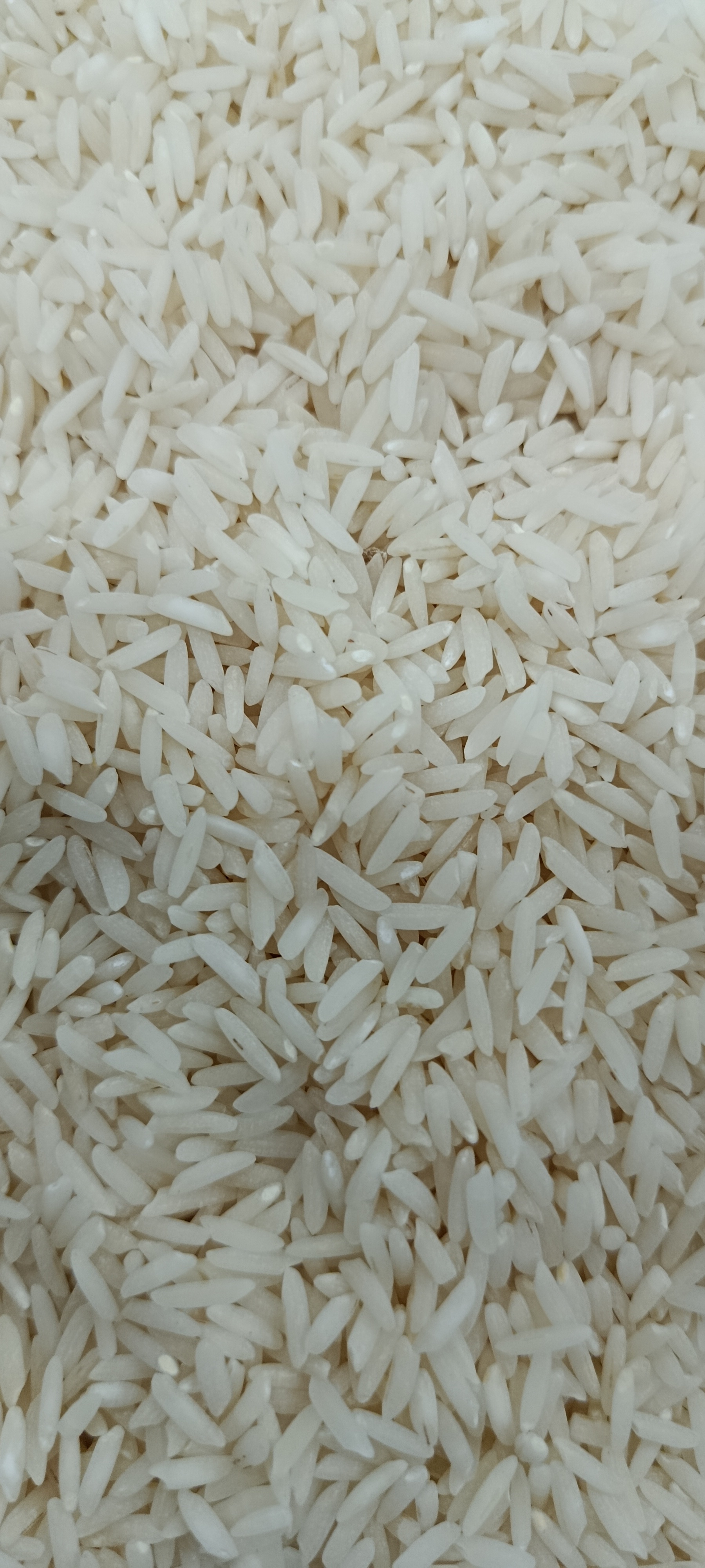 برنج درجه یک هاشمی ممتاز گیلان
